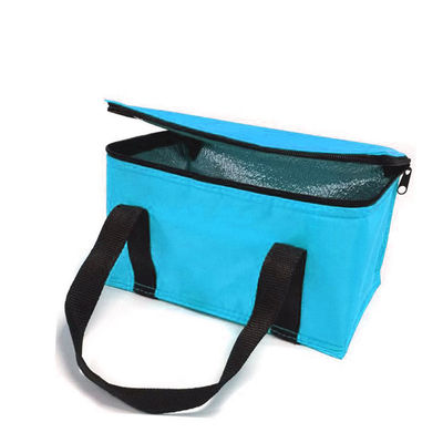 OEM Custom Printing Soft Insulated Cooler Bag 21*13*14 Cm Με χωρητικότητα 4L 16L 32L