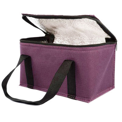 OEM Custom Printing Soft Insulated Cooler Bag 21*13*14 Cm Με χωρητικότητα 4L 16L 32L